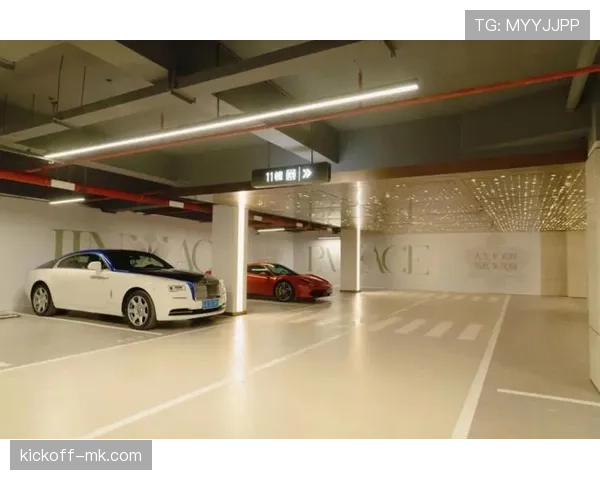 费钰婷家里到底多有钱？光车库就能当豪宅了吧？